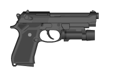 SIG GSR