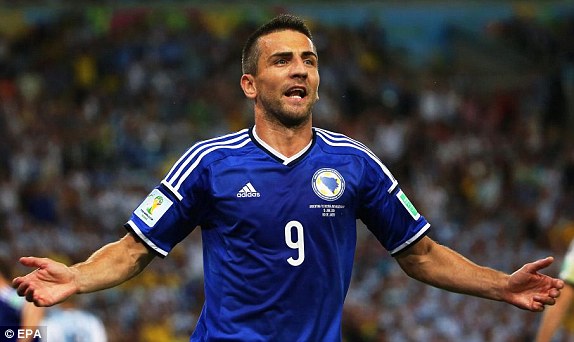 Vedad Ibisevic, avec la Bosnie.