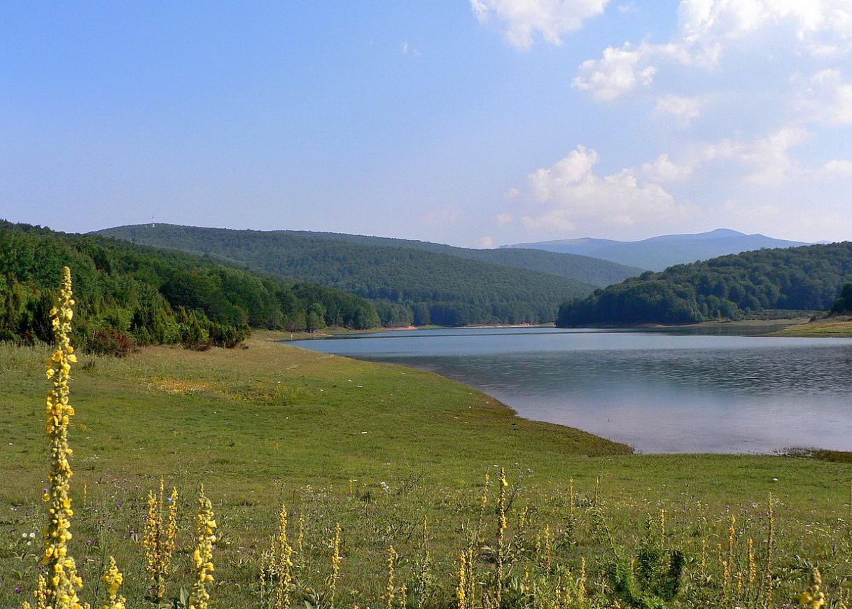 Le Fleuve Hanovria juste avant son entrée dans la Forêt d'Hanovrie.