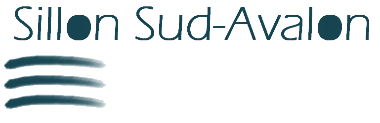 Sillon Sud Avalon Partenaire officiel