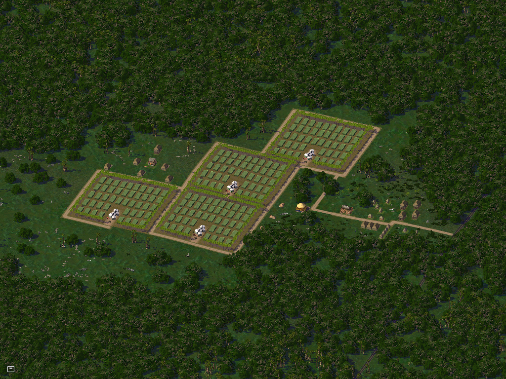 village de Natoba et ses plantations de marijuana.