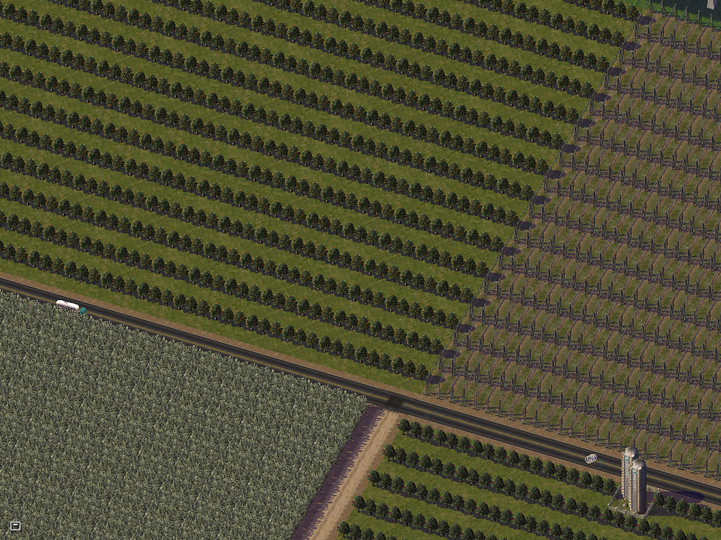 Champs agricoles