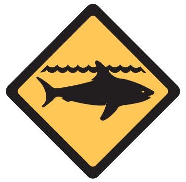 ATTENTION REQUINS