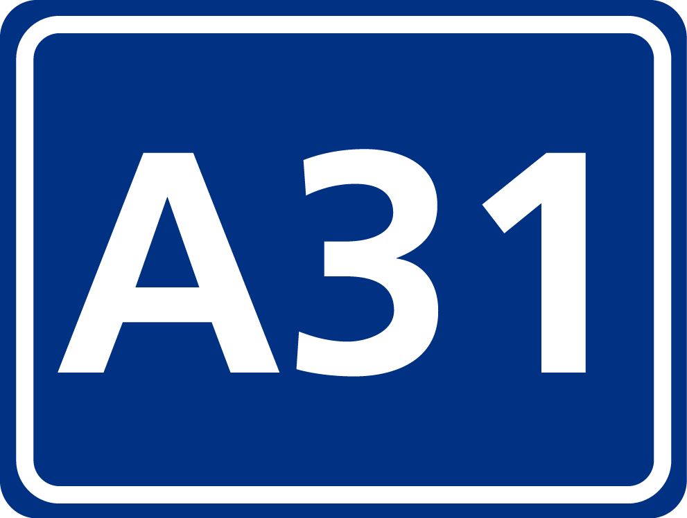 A31.png