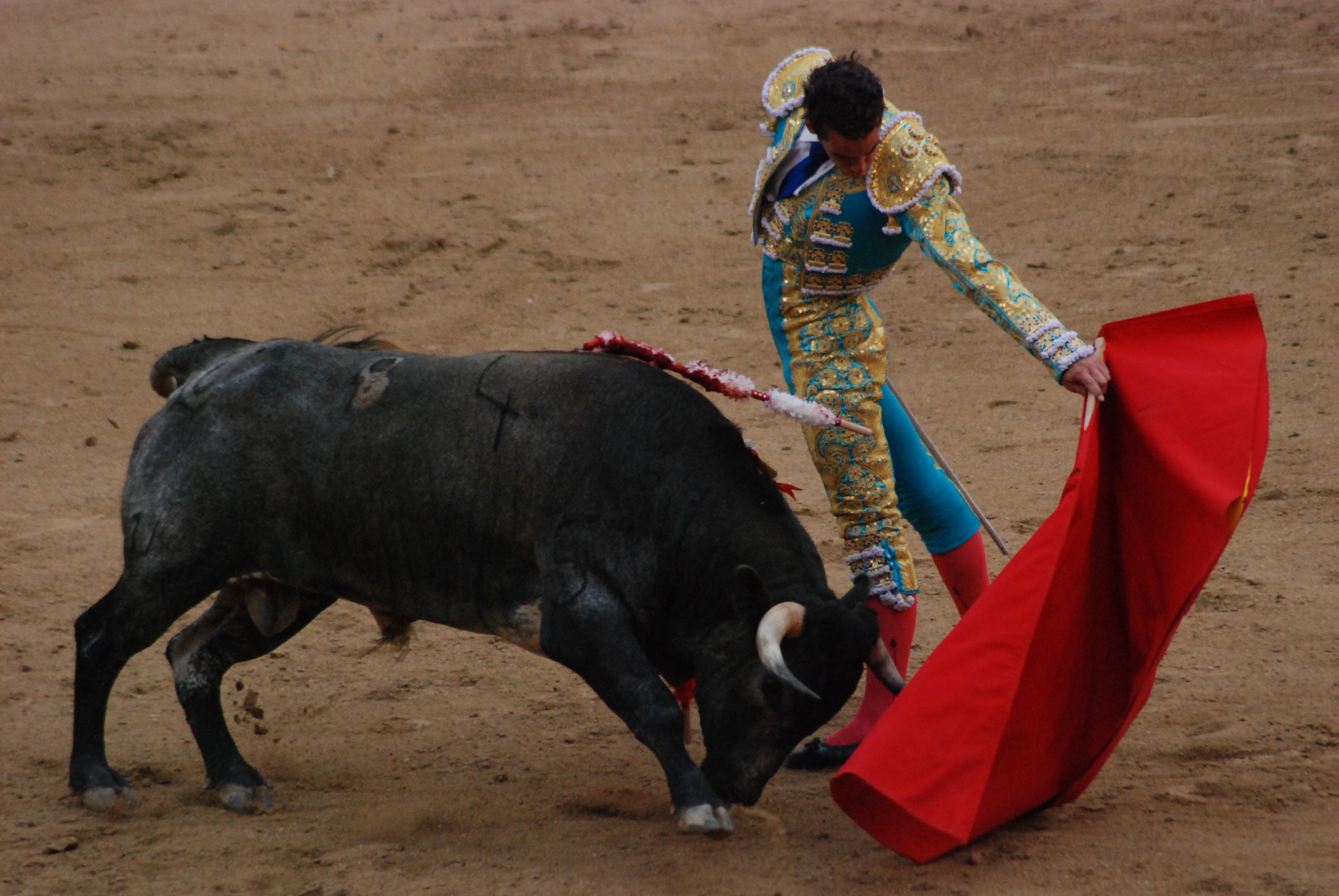 Une corrida