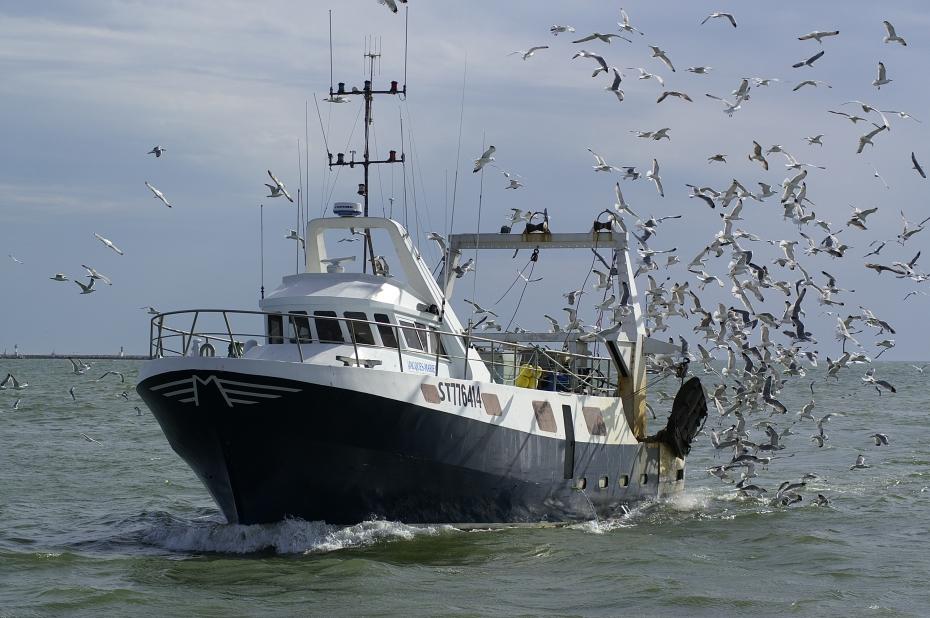 Chalutier revenant au port à Kamitoshi