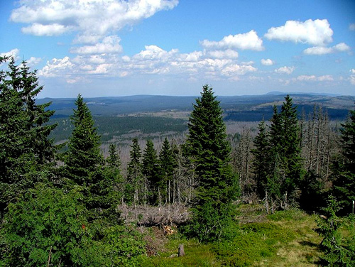 Vue sur le plateau central de Méridionie depuis le piemont Rocheux et l'orée de la Forêt de Méridyle.