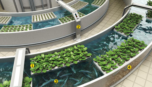Zone d'aquaculture