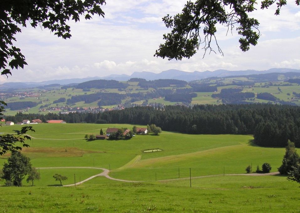Dans la vallée de Sonoma .