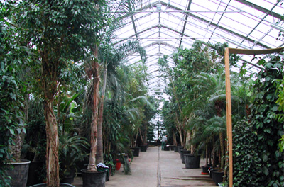 Vue intérieure du jardin botanique.