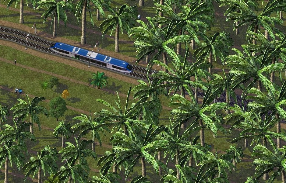 Plantations des Moais