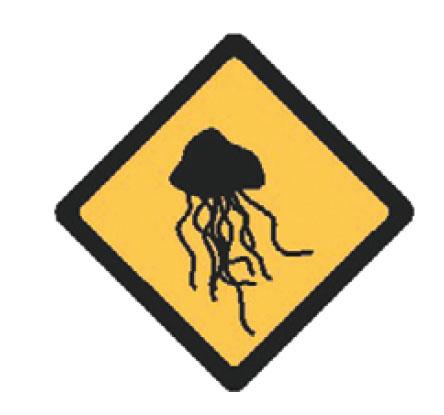 ATTENTION MÉDUSES