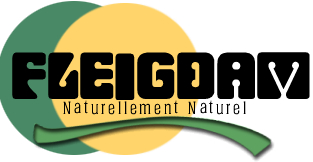 Fleigdam