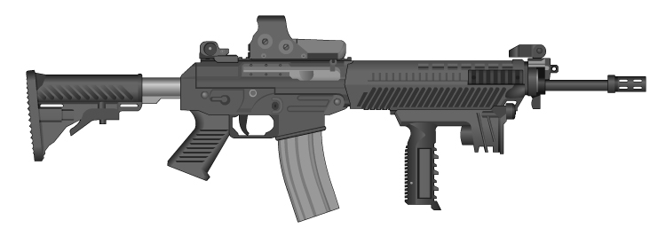 SIG 556DMR
