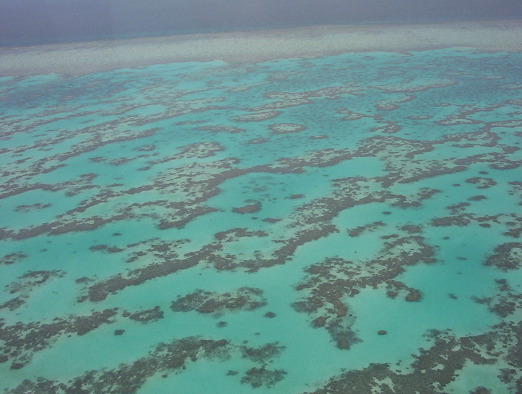 Vue générale de la barrière de corail.