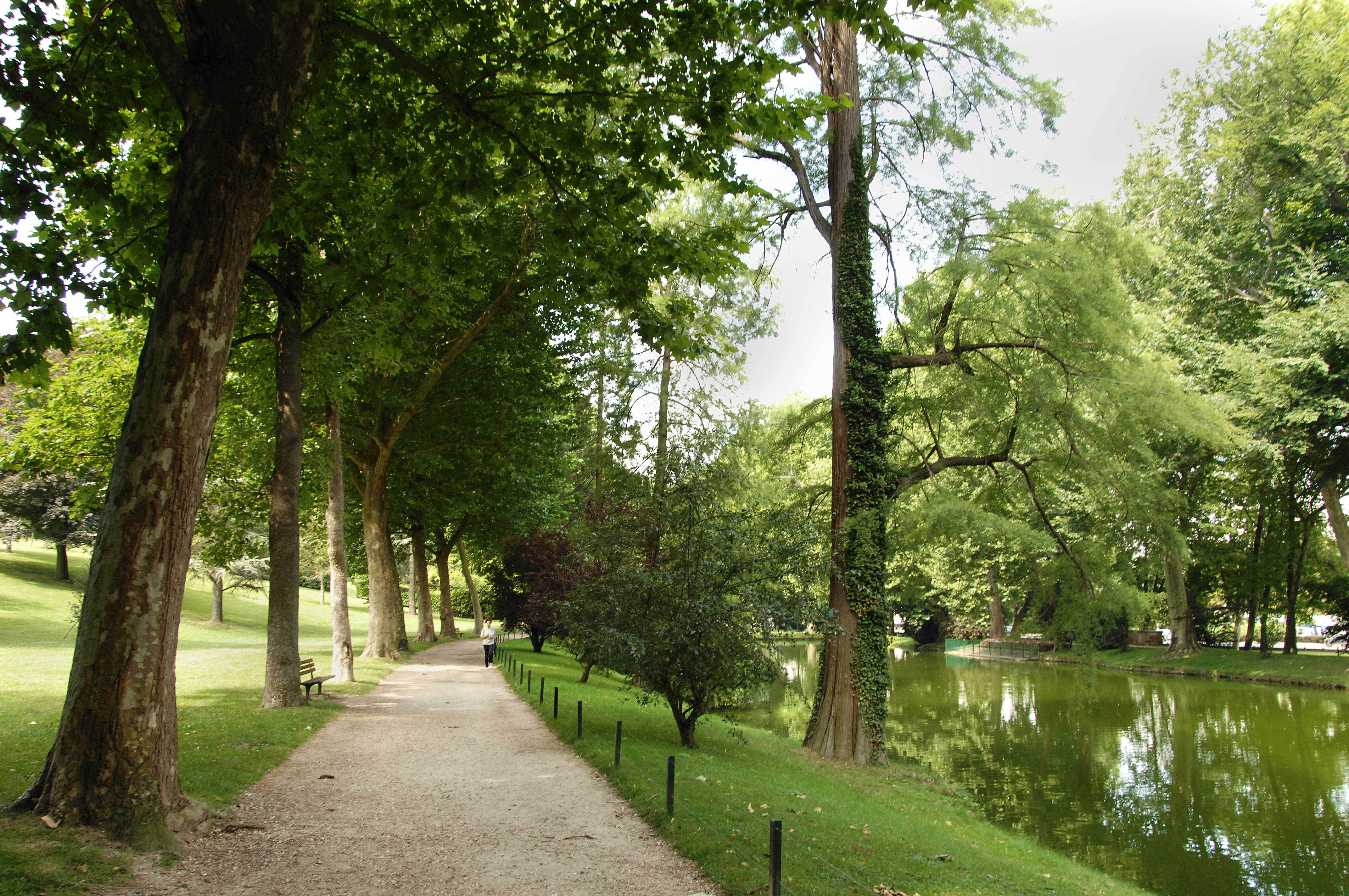Vue du parc