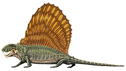 Les Reptiles: 3ème espece dominante de la Terre après les poissons, les amphibiens et juste avant les mammifères.